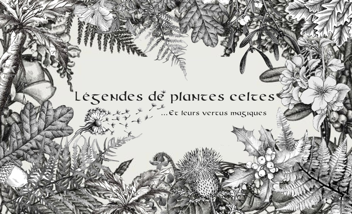 L gendes Et Pouvoirs Des Plantes Celtes Breizh Witch l-gendes-et-pouvoirs-des-plantes-celtes-breizh-witch